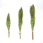 Artificial Aloe Vera Plant Desktop Outdoor Home & Event Decor