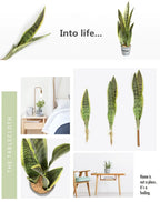 Artificial Aloe Vera Plant Desktop Outdoor Home & Event Decor