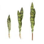 Artificial Aloe Vera Plant Desktop Outdoor Home & Event Decor