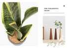 Artificial Aloe Vera Plant Desktop Outdoor Home & Event Decor