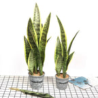 Artificial Aloe Vera Plant Desktop Outdoor Home & Event Decor