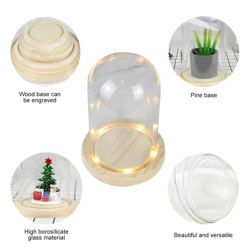 Modern Glass Display Dome with LED Wooden Base – Decorative Vase