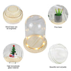 Modern Glass Display Dome with LED Wooden Base – Decorative Vase