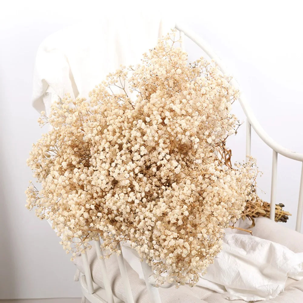 Flower Dried Pampas Grass Bouquet Indoor Home & Event Decor