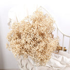 Flower Dried Pampas Grass Bouquet Indoor Home & Event Decor