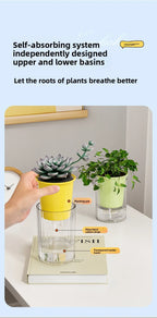 Imitation Glass Plastic Succulent Planter Pot