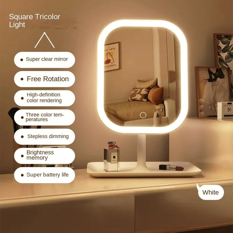 Niche Modern LED Makeup Mirror with Touch Control and Three Light Colors