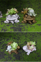 Cartoon Turtle Resin Succulent Flower Pot