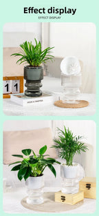 Self-Watering Transparent Plastic Succulent Pot
