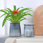 Double Layer Self-Watering Hydroponic Planter