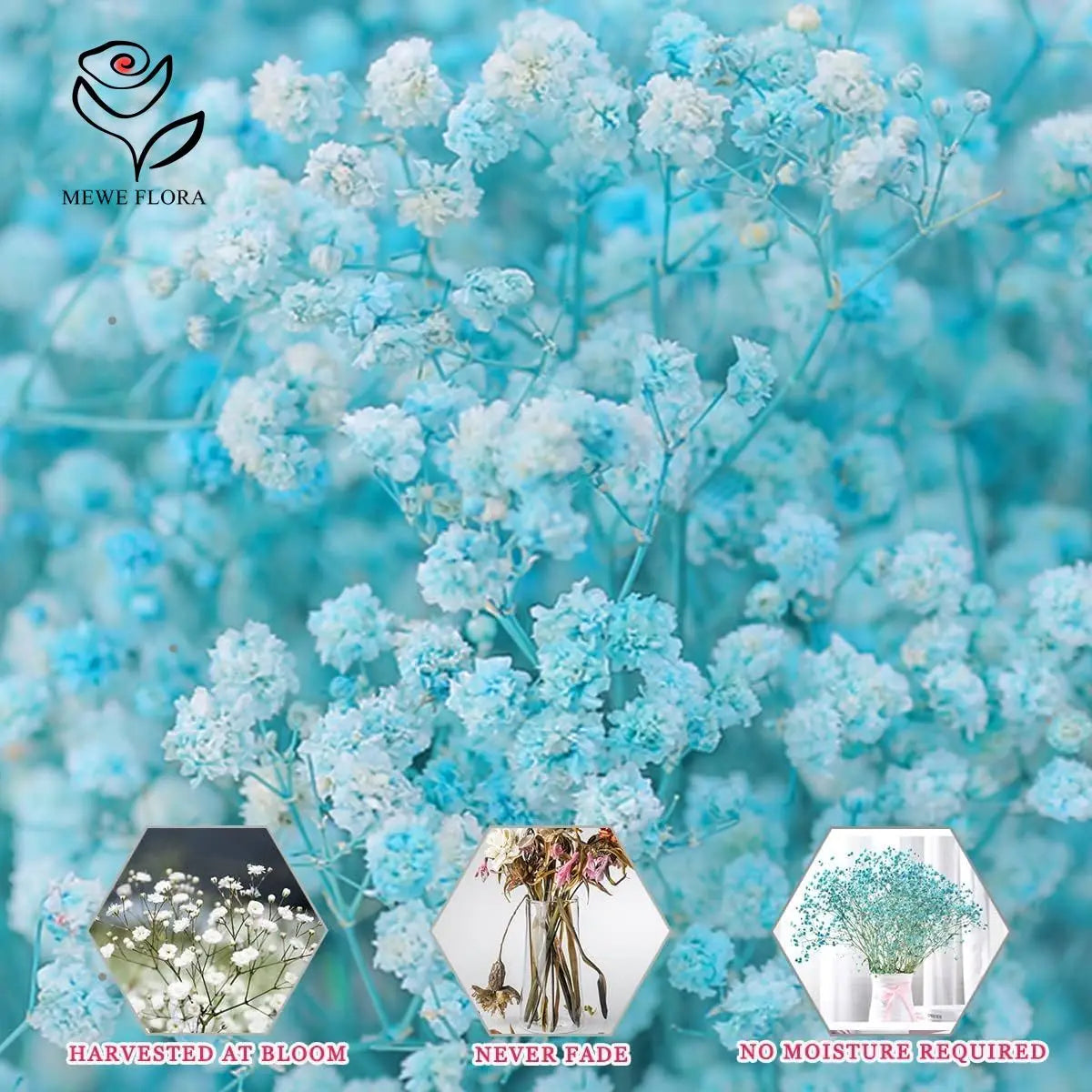 Flower Dried Pampas Grass Bouquet Indoor Home & Event Decor
