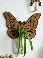 Wooden Butterfly Wall-Mounted Hydroponic Planter