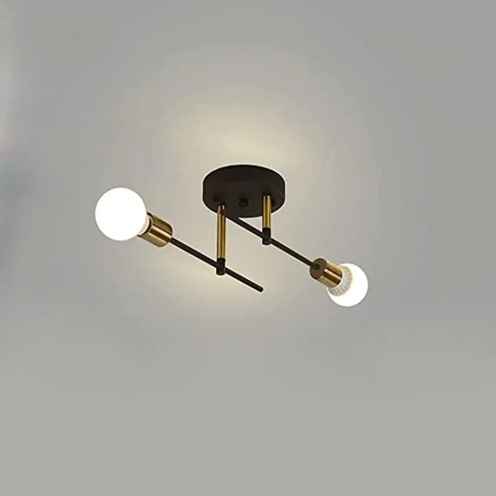 Vintage 2-Light Iron Ceiling Light – Black E27 Surface Mount