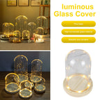 Modern Glass Display Dome with LED Wooden Base – Decorative Vase