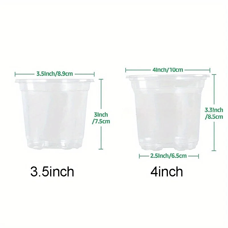 Transparent Plastic Nursery Pots with Drainage Holes