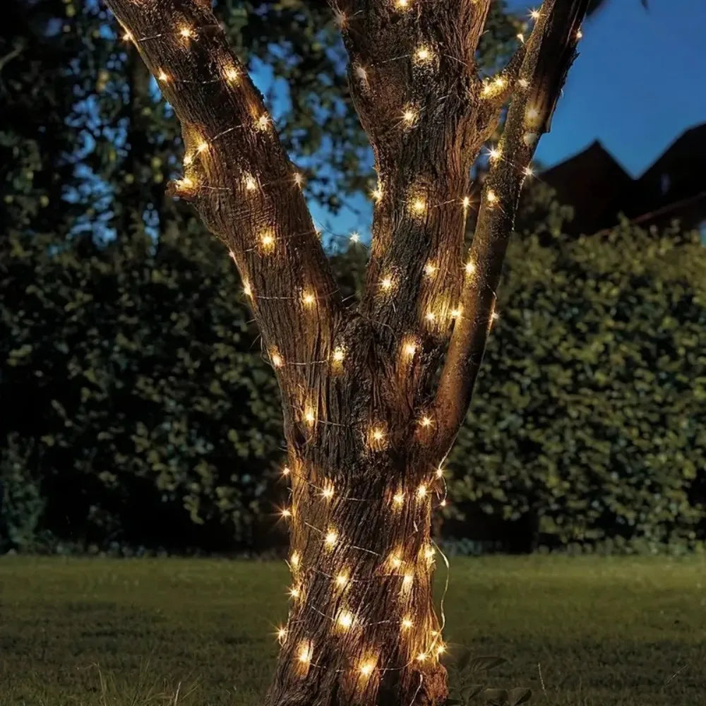 Solar LED Holiday Light IP65 Waterproof Battery-Included Modern Style