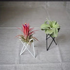 European Style Metal Desktop Flower Rack