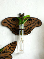 Wooden Butterfly Wall-Mounted Hydroponic Planter