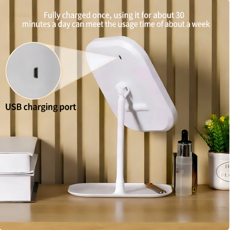 Niche Modern LED Makeup Mirror with Touch Control and Three Light Colors