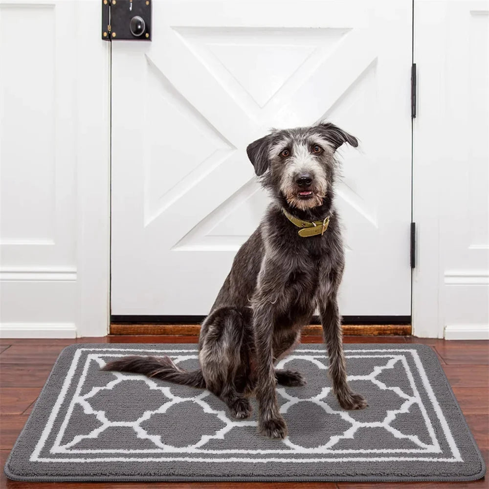 Indoor Non-Slip Entrance Door Mat Absorbent Low-Profile Welcome Rug Front Door Carpet