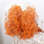 Flower Dried Pampas Grass Bouquet Indoor Home & Event Decor