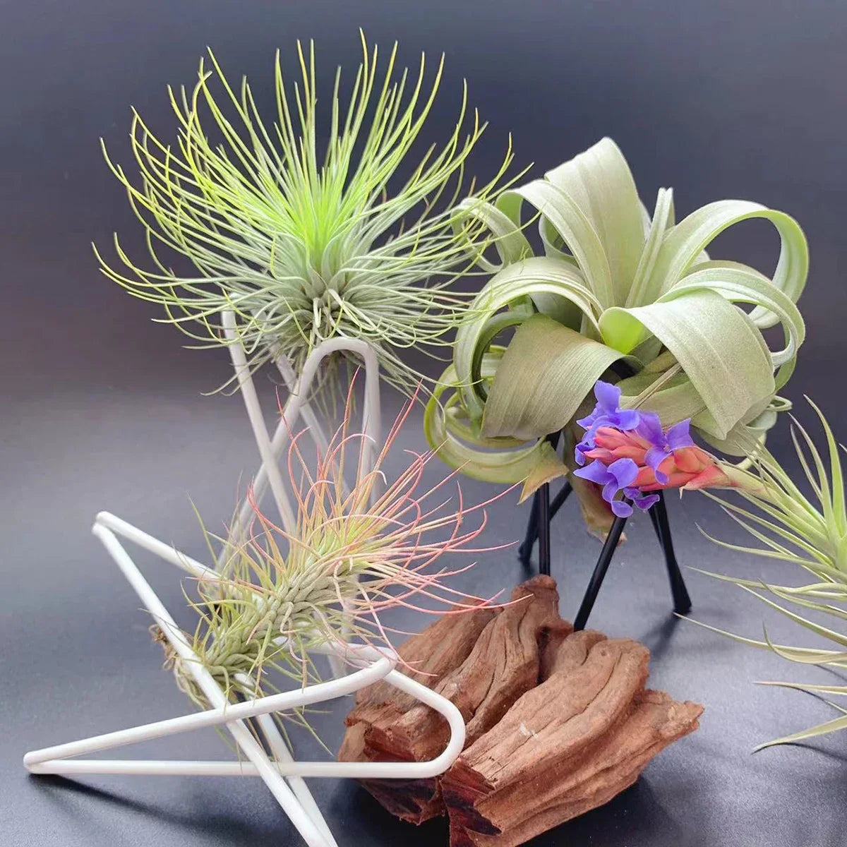 European Style Metal Desktop Flower Rack