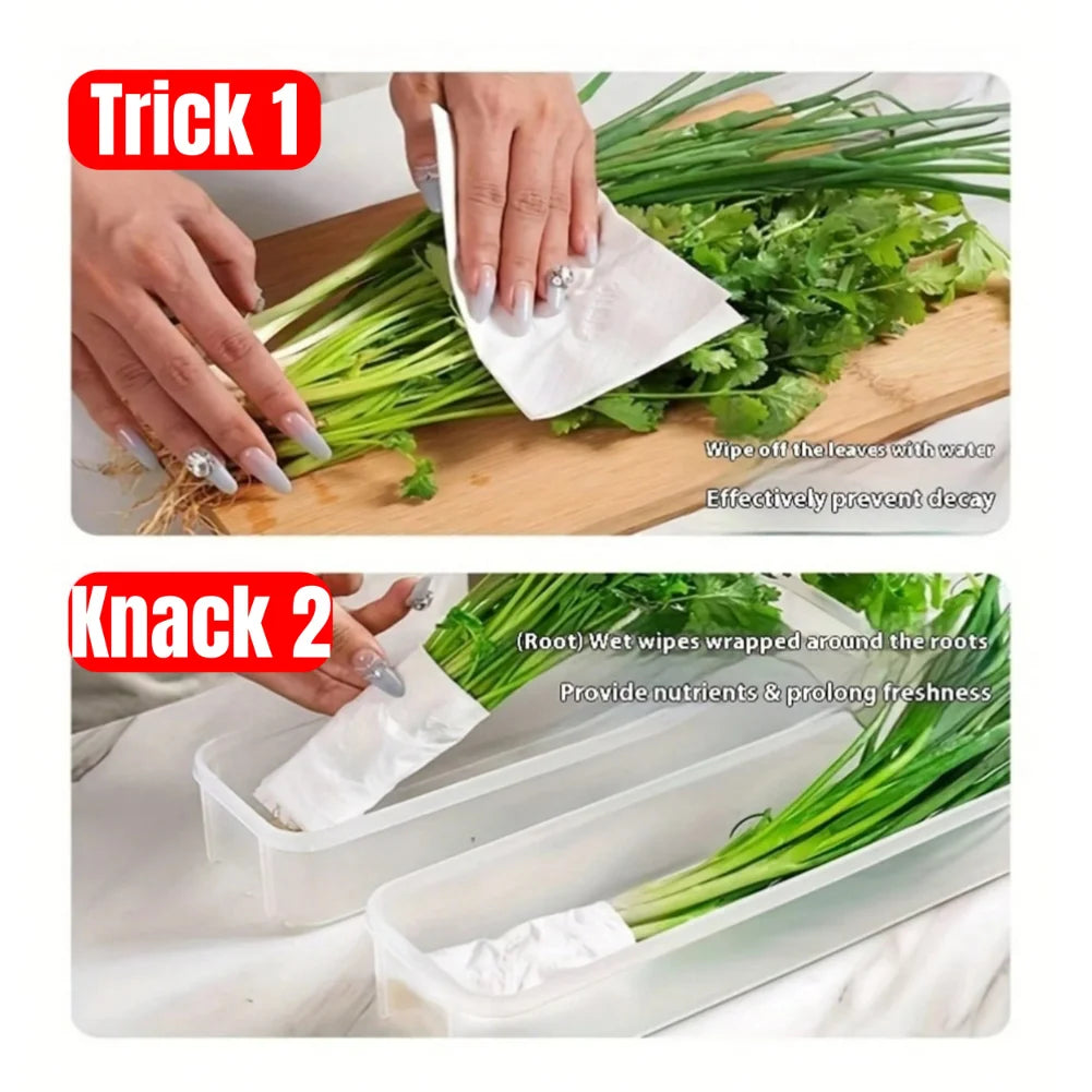 PP Plastic Refrigerator Storage Box – Stackable Fridge Organizer with Lid