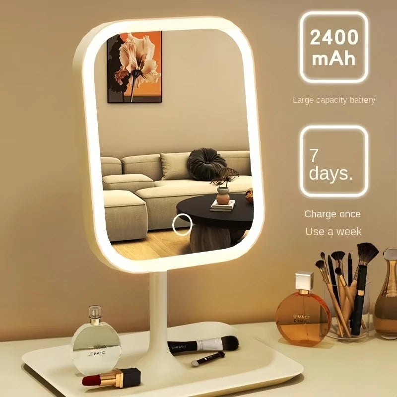 Niche Modern LED Makeup Mirror with Touch Control and Three Light Colors