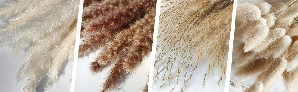 Flower Dried Pampas Grass Bouquet Indoor Home & Event Decor