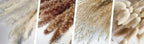Flower Dried Pampas Grass Bouquet Indoor Home & Event Decor