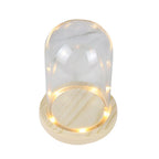 Modern Glass Display Dome with LED Wooden Base – Decorative Vase