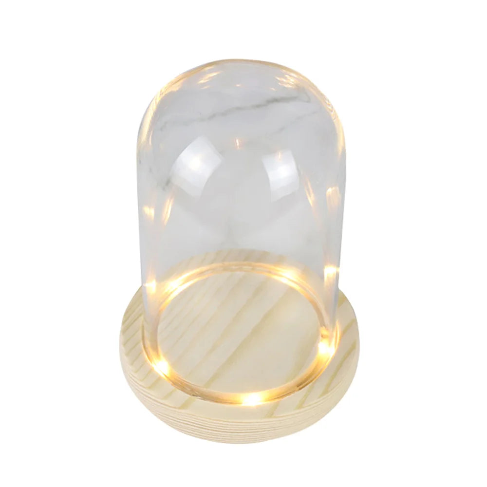 Modern Glass Display Dome with LED Wooden Base – Decorative Vase