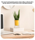 Imitation Glass Plastic Succulent Planter Pot