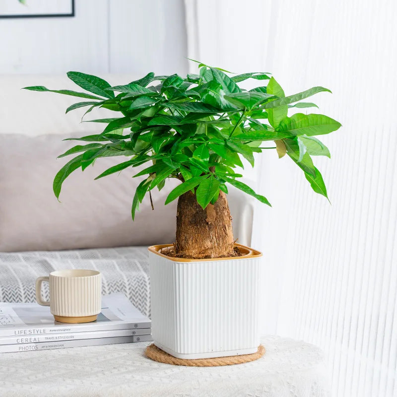 Self-Watering Nordic Style Square Flower Pot