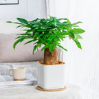 Self-Watering Nordic Style Square Flower Pot