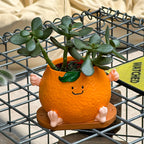 Cute Cartoon Orange Smiling Face Flower Pot