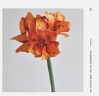 76CM Artificial Hippeastrum Silk Flower for Wedding & Home Decor