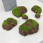 6PCS Artificial Moss Rocks for DIY & Garden Decor