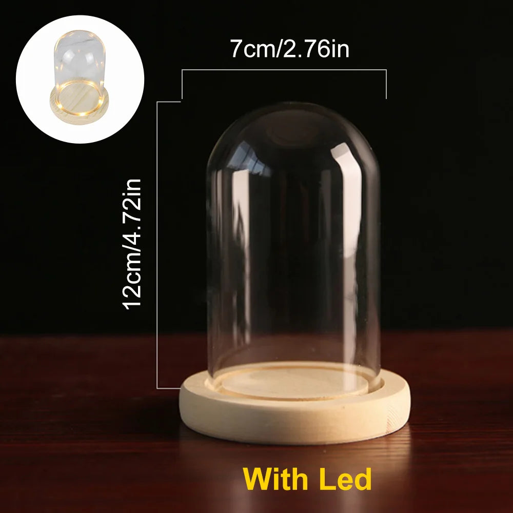 Modern Glass Display Dome with LED Wooden Base – Decorative Vase