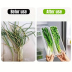 PP Plastic Refrigerator Storage Box – Stackable Fridge Organizer with Lid