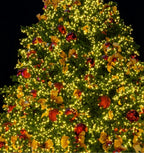 Solar LED Holiday Light IP65 Waterproof Battery-Included Modern Style