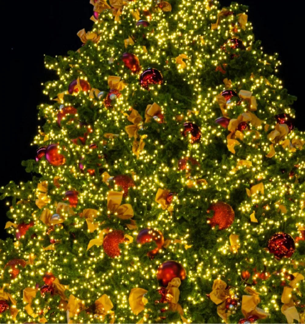 Solar LED Holiday Light IP65 Waterproof Battery-Included Modern Style