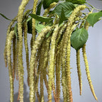 Elegant Artificial Hanging Vine Foam Berry Decor