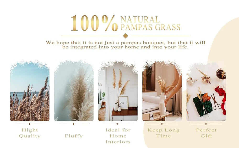 Flower Dried Pampas Grass Bouquet Indoor Home & Event Decor