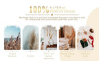 Flower Dried Pampas Grass Bouquet Indoor Home & Event Decor
