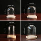 Modern Glass Display Dome with LED Wooden Base – Decorative Vase