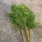 Artificial Fern Plant Branch Outdoor Exhibition Decoration