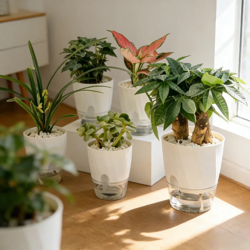 Transparent Self-Watering Hydroponic Plant Pot