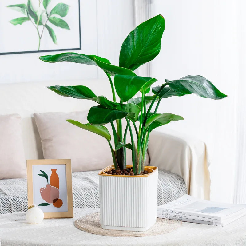 Self-Watering Nordic Style Square Flower Pot