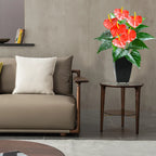 53cm Artificial Monstera Tree for Home & Garden